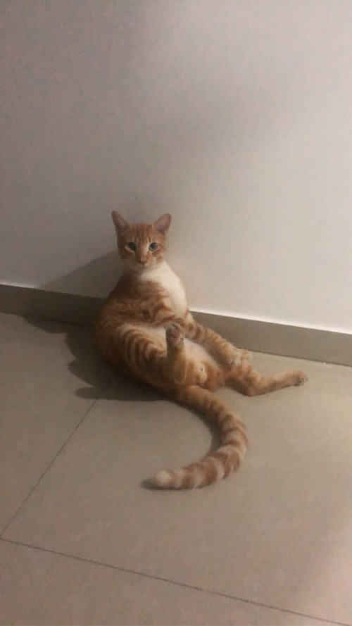 Oliver