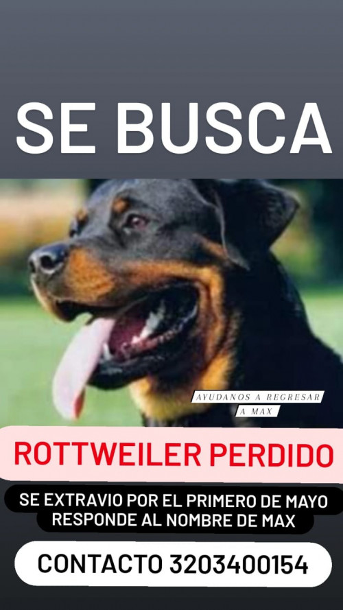 Max