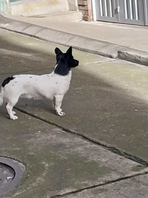 Max