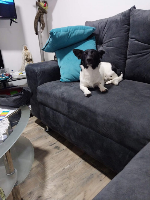 Max