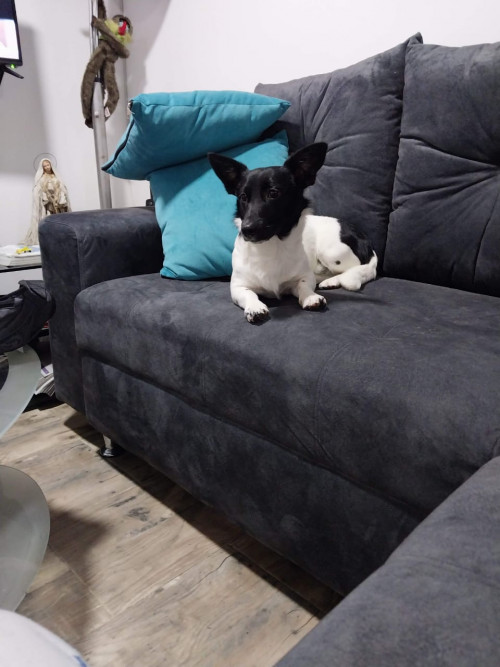 Max
