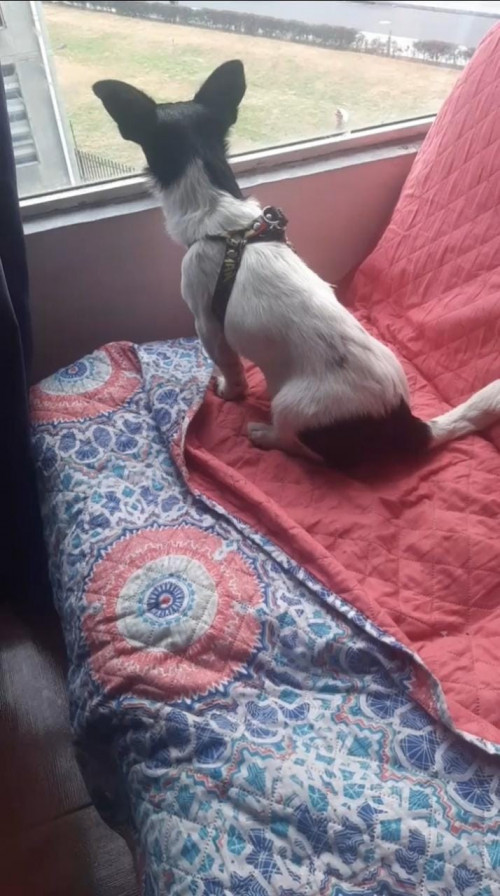 Max