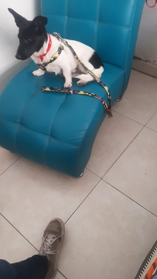 Max