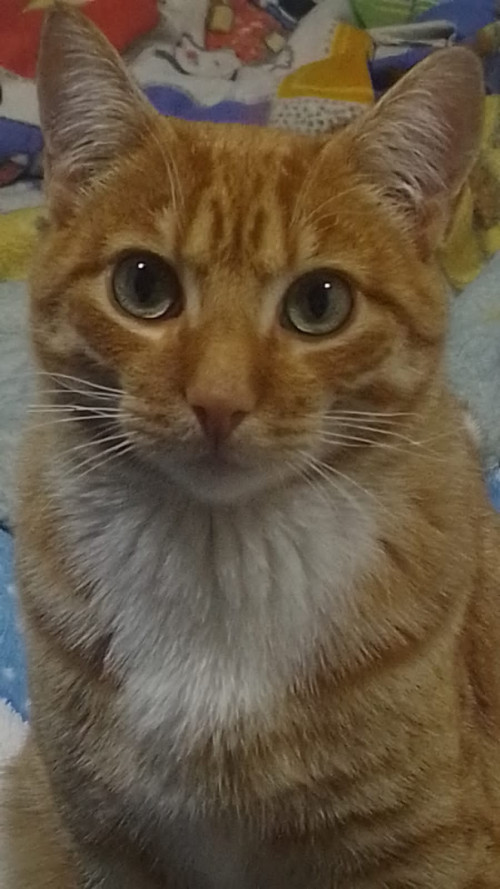 Milán