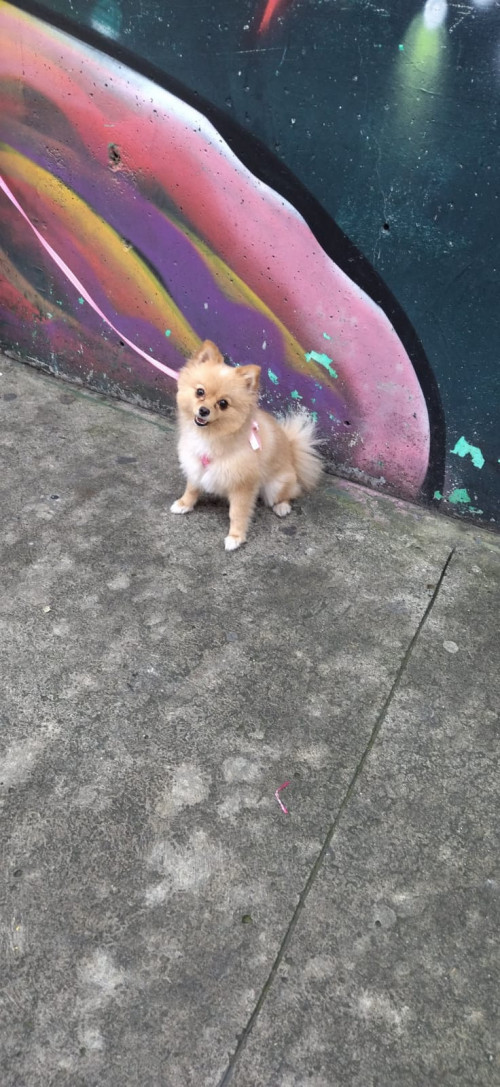 Luna