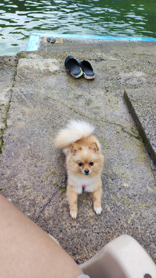 Luna