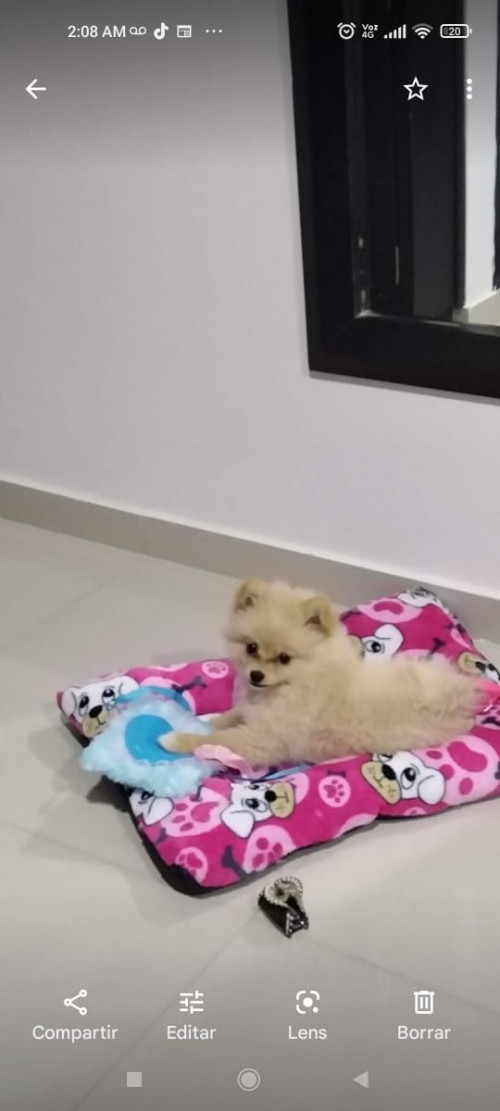 Luna