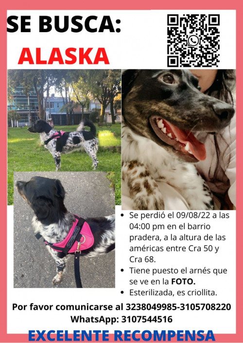 Alaska