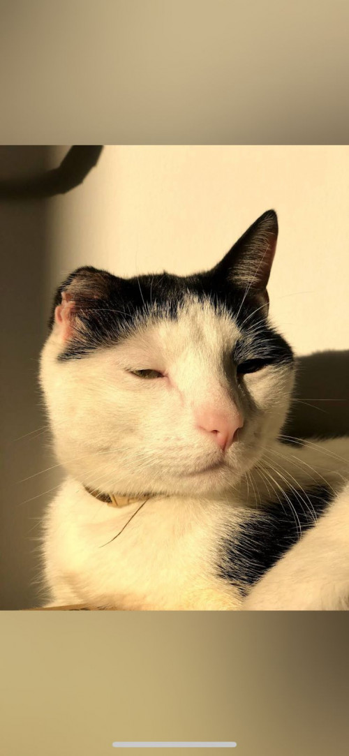 Tom