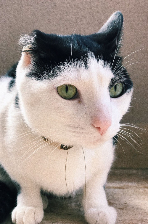 Tom