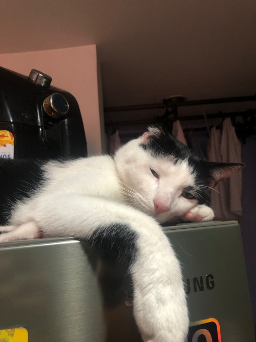 Tom