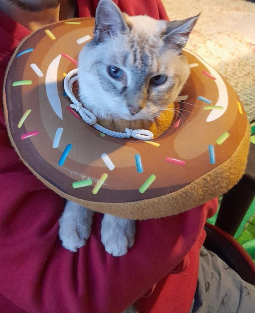 Mimi