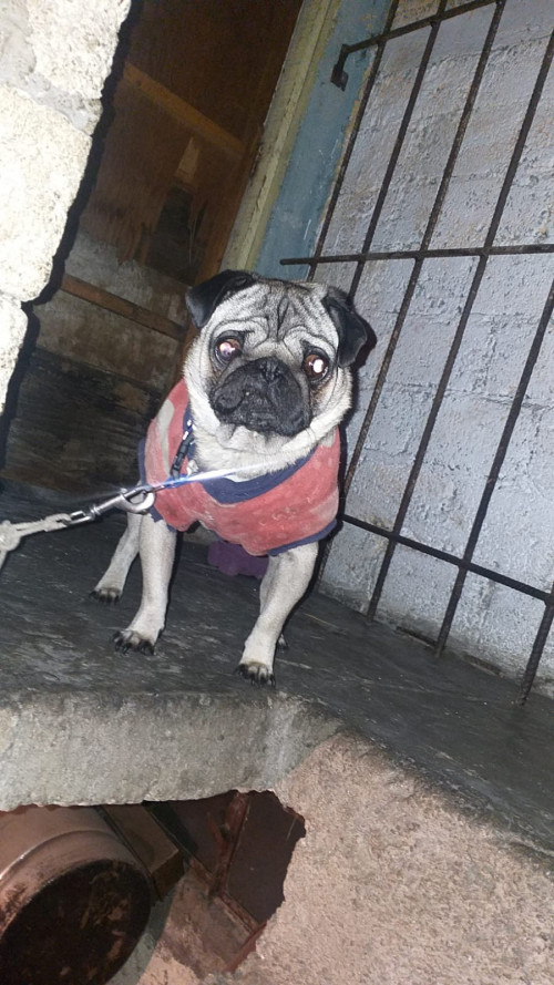 Coffe
