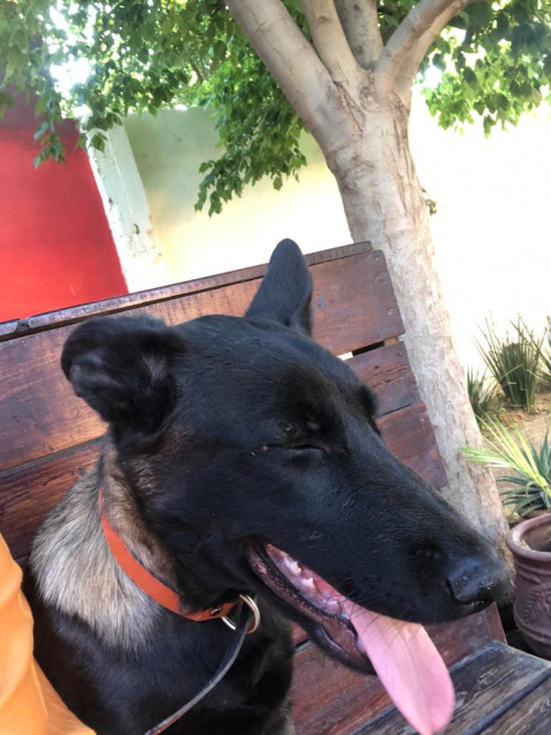 Kira