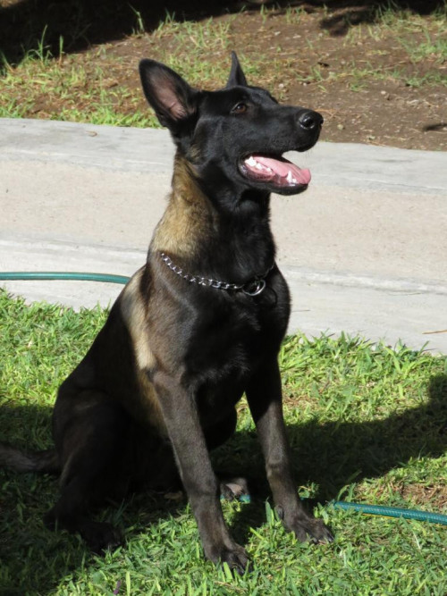 Kira