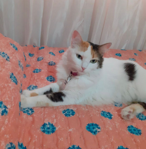 Luna