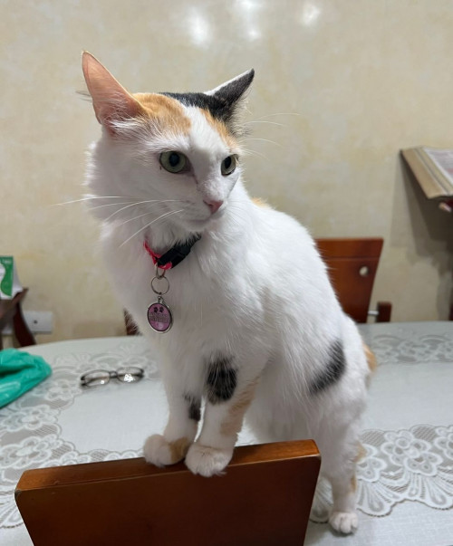 Luna