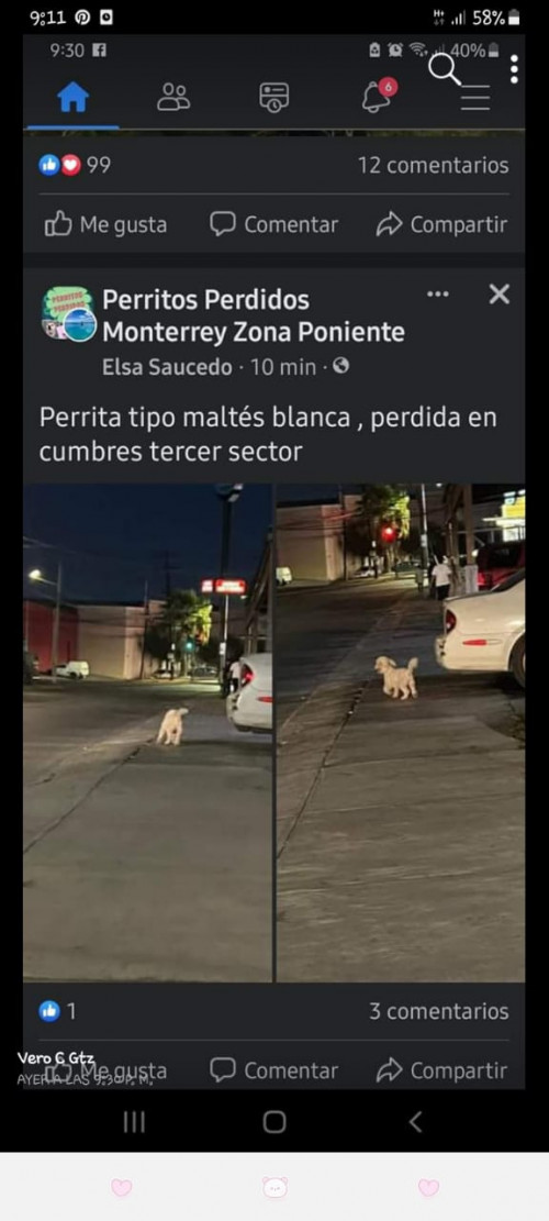 Gustavo