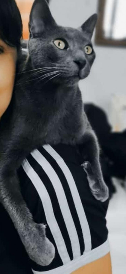 Sugar