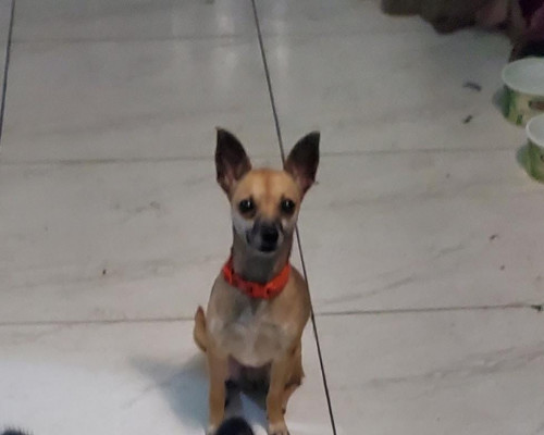 Princesa