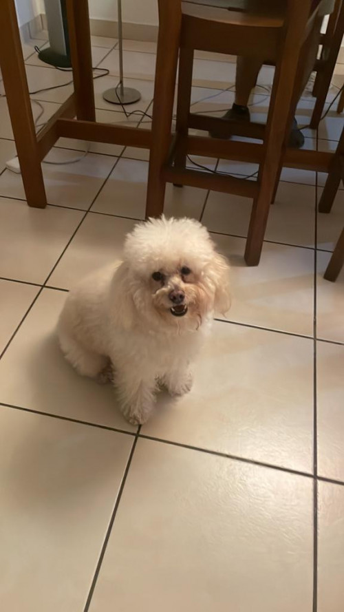 Yuniño