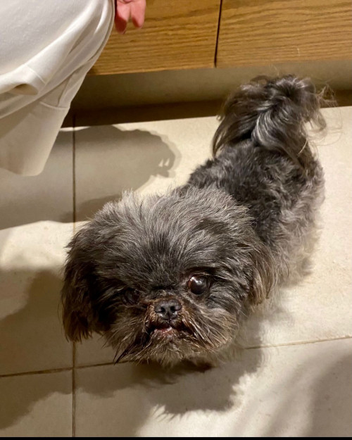 Tito