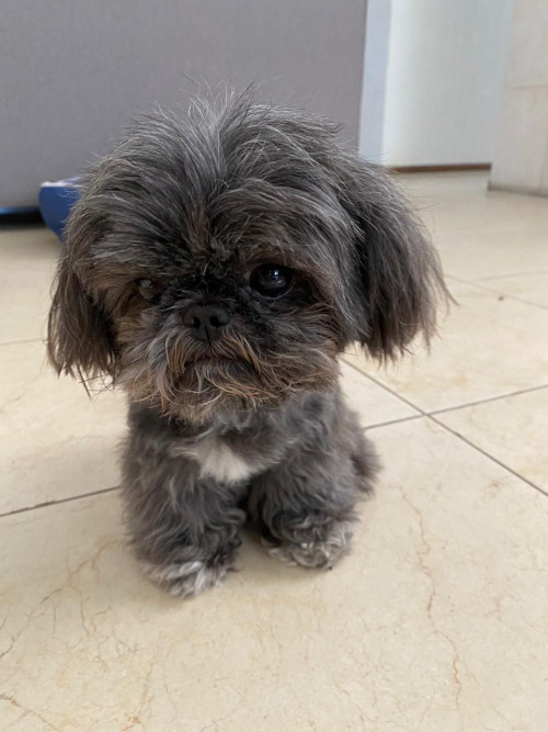Tito