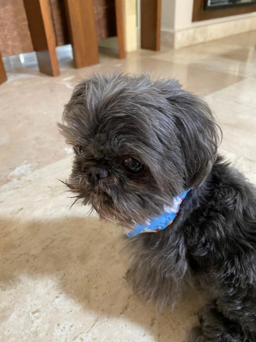 Tito