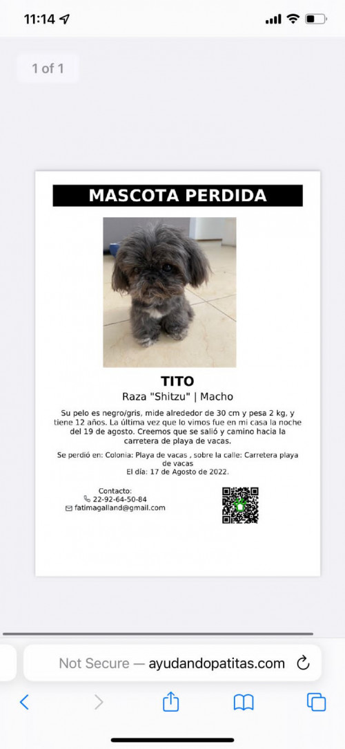 Tito