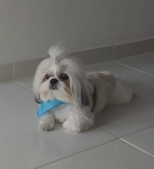 Loky