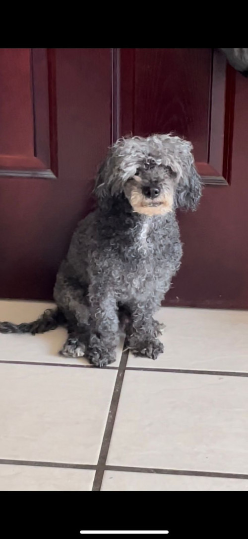 Paolo