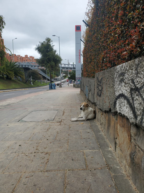 Luna