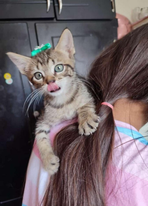 Zoe