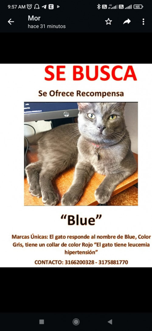 Blue