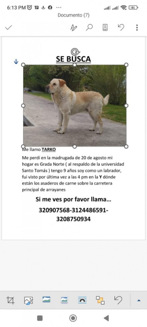 Tarko