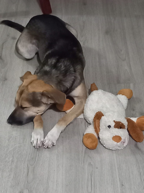 Max