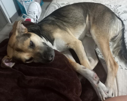 Max