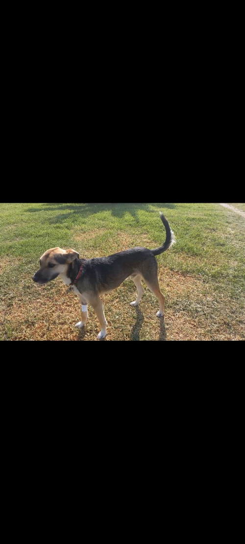 Max