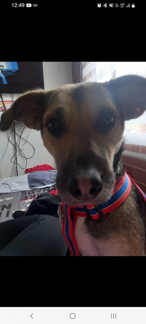 Max