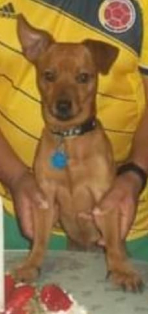 Figo