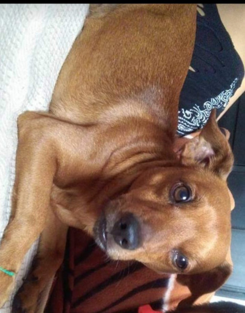 Figo