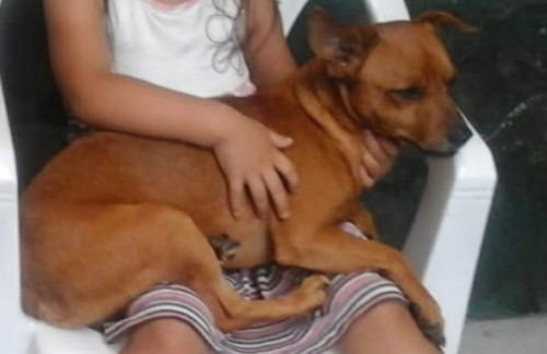Figo