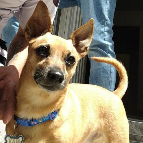 Max