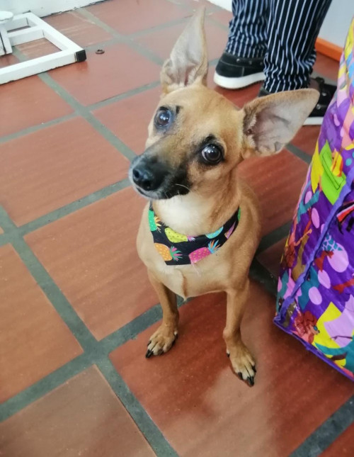 Max