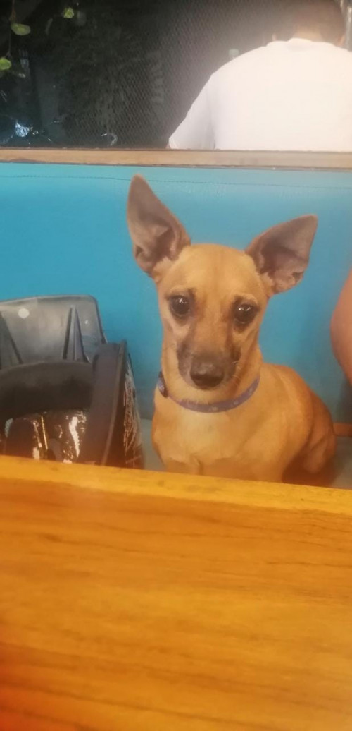 Max
