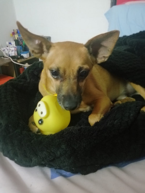 Max