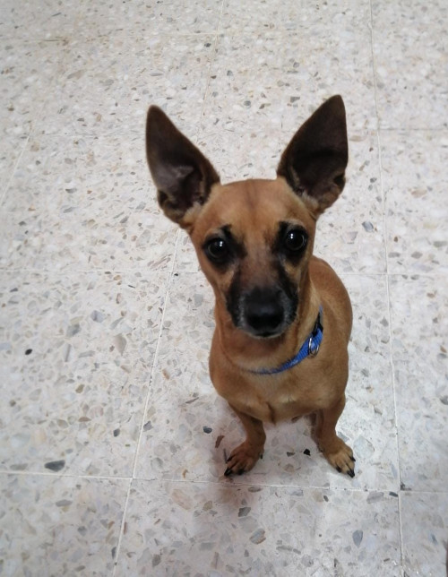 Max