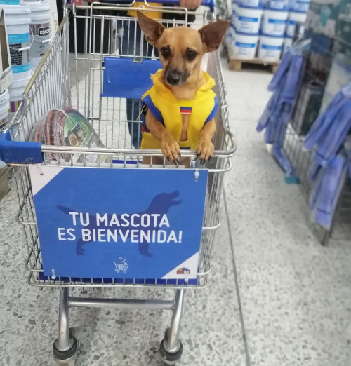 Max