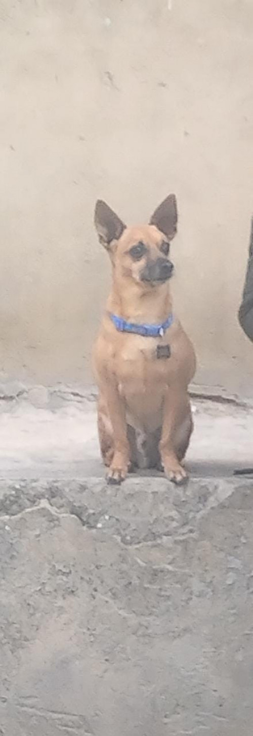 Max
