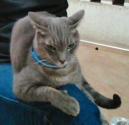 Locky